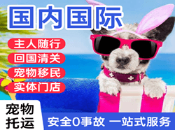 曹家堡航空快运国际宠物托运 【国